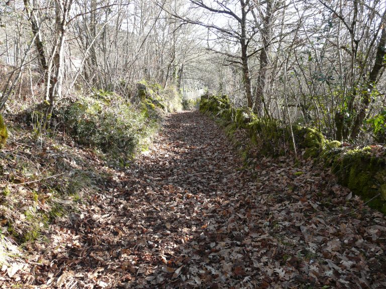 Fotografía dun traballo en obra arqueolóxica