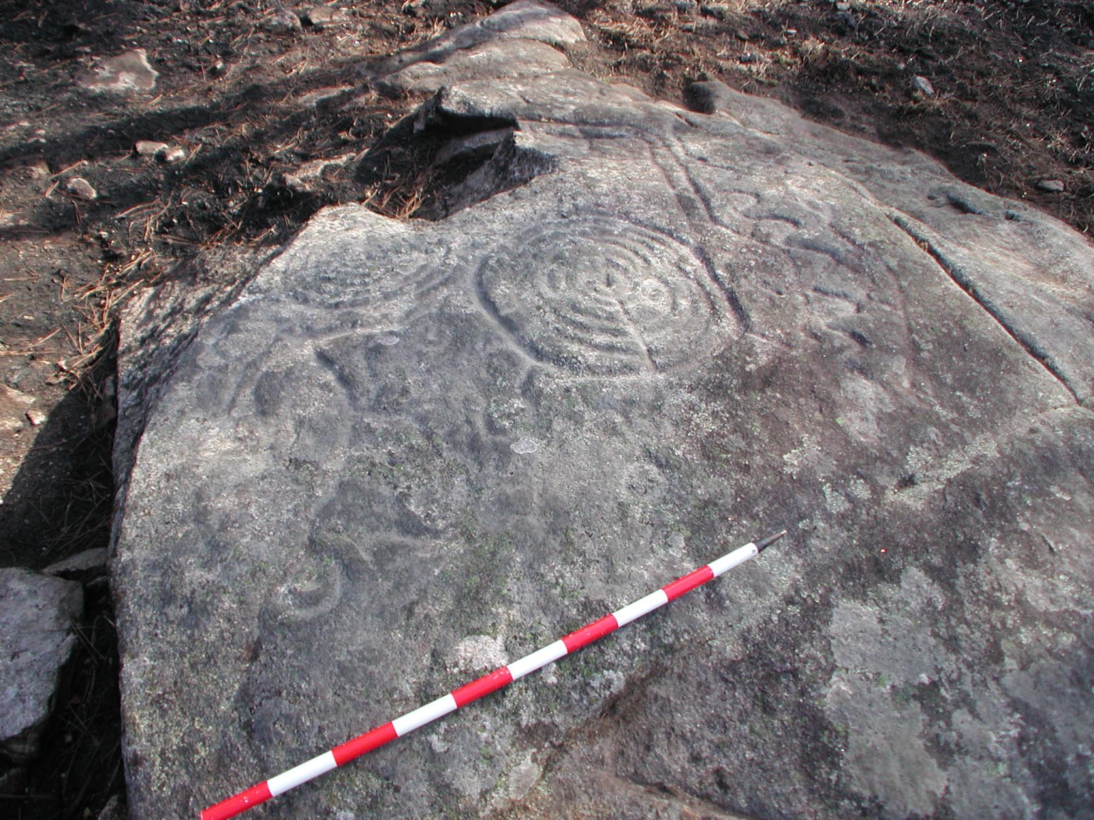 Imaxes arqueolóxicas do Petro de Valga.