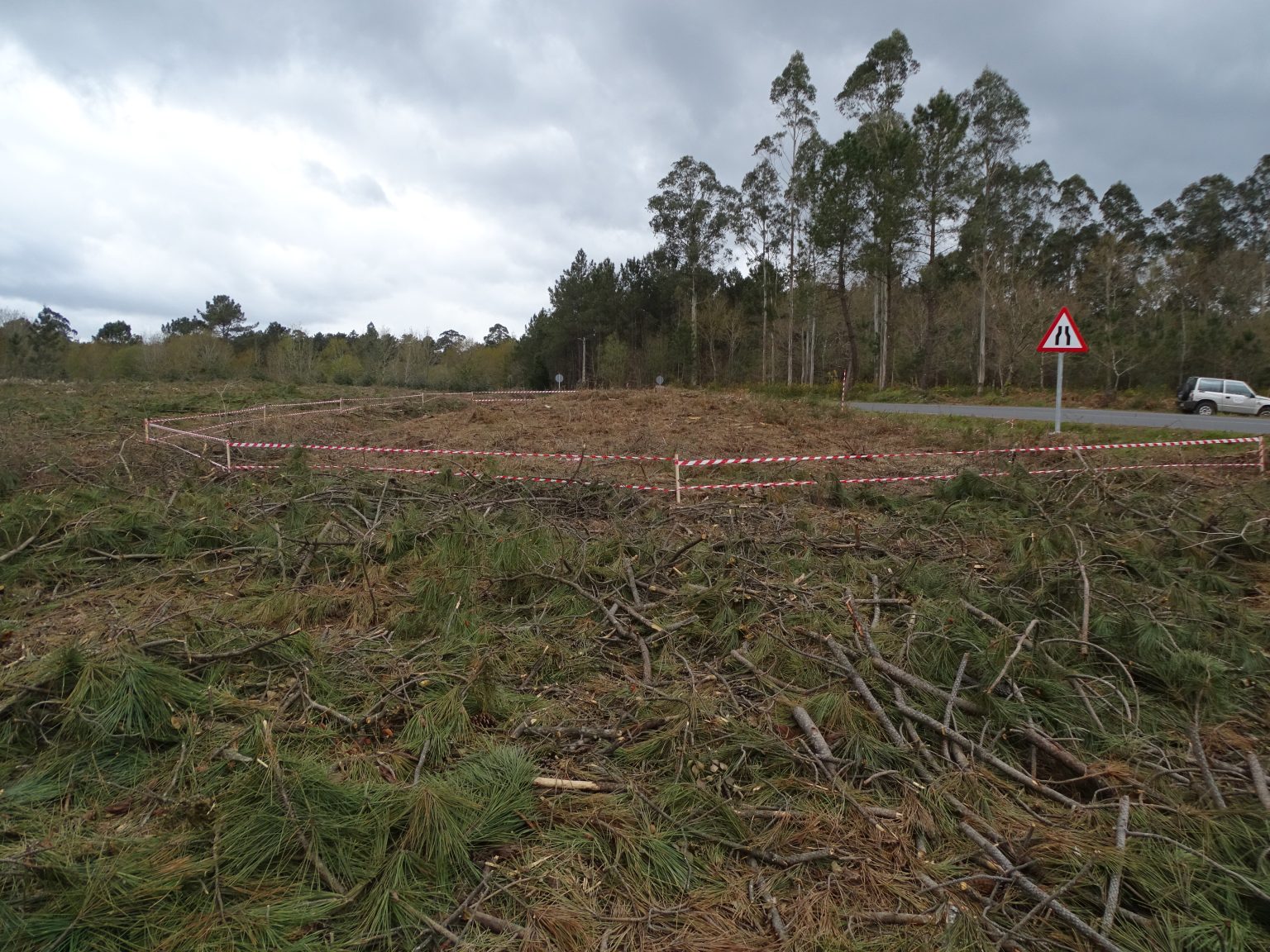 Traballo Forestal fotografiado