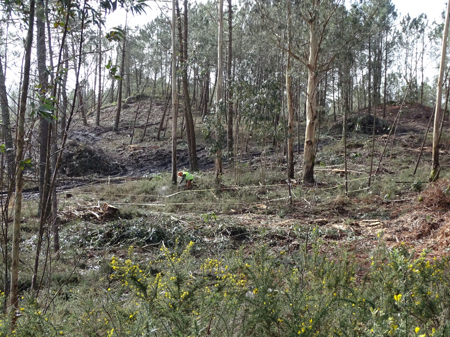Traballo arqueolóxico en Lourizan