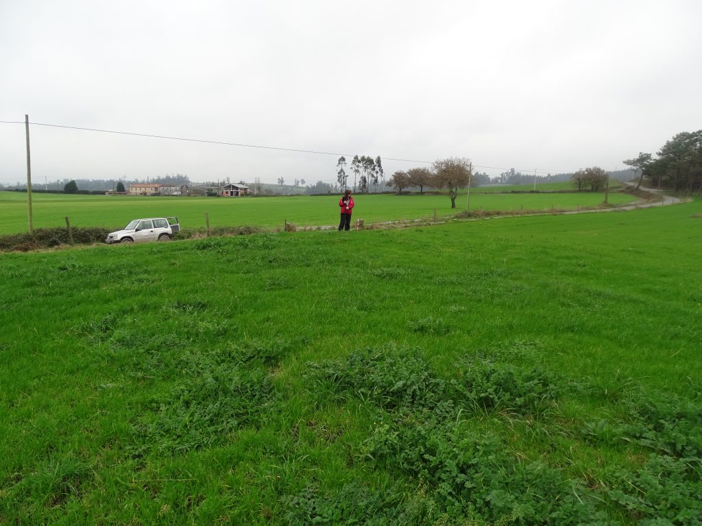 Imaxes de informes arqueolóxicos